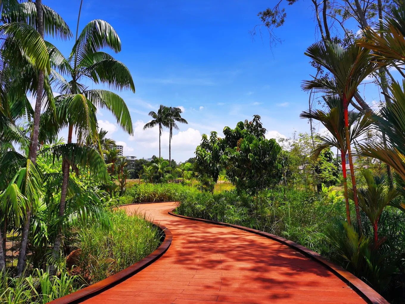 Jurong Lake